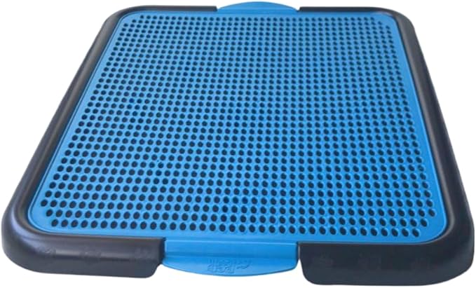 Sanitário para Cachorros, Sanitário Higiênico para Cães, Xixi Dog, sanitário canino Azul, 19760